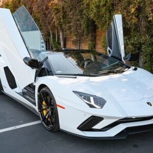 Used 2019 Lamborghini Aventador S Roadster For Sale