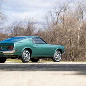 1969 Ford Mustang E Fastback For Sale