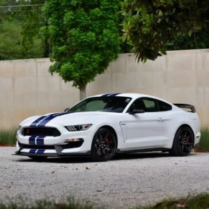 2015 Ford Shelby GT350R For Sale