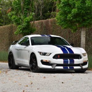 2015 Ford Shelby GT350R For Sale