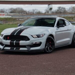 2016 Ford Shelby GT350R For Sale