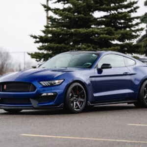 2016 Ford Shelby GT350R For Sale