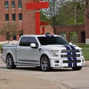 2017 Ford F150 Shelby Super Snake Pickup