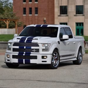 2017 Ford F150 Shelby Super Snake Pickup