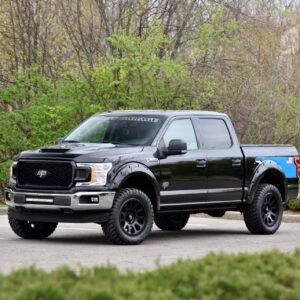 2018 Ford F150 Petty’s Garage Warrior Pickup