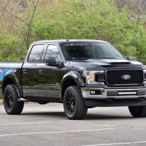 2018 Ford F150 Petty’s Garage Warrior Pickup