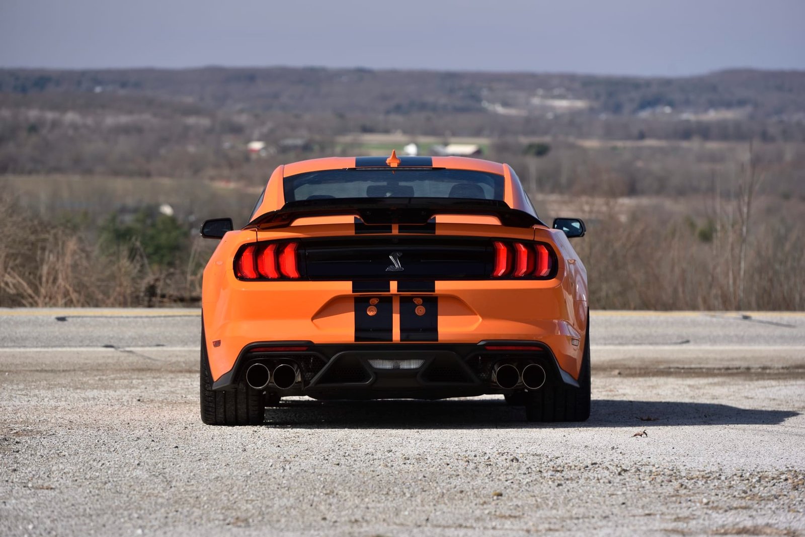 2021 Ford Shelby GT500 For Sale (4)